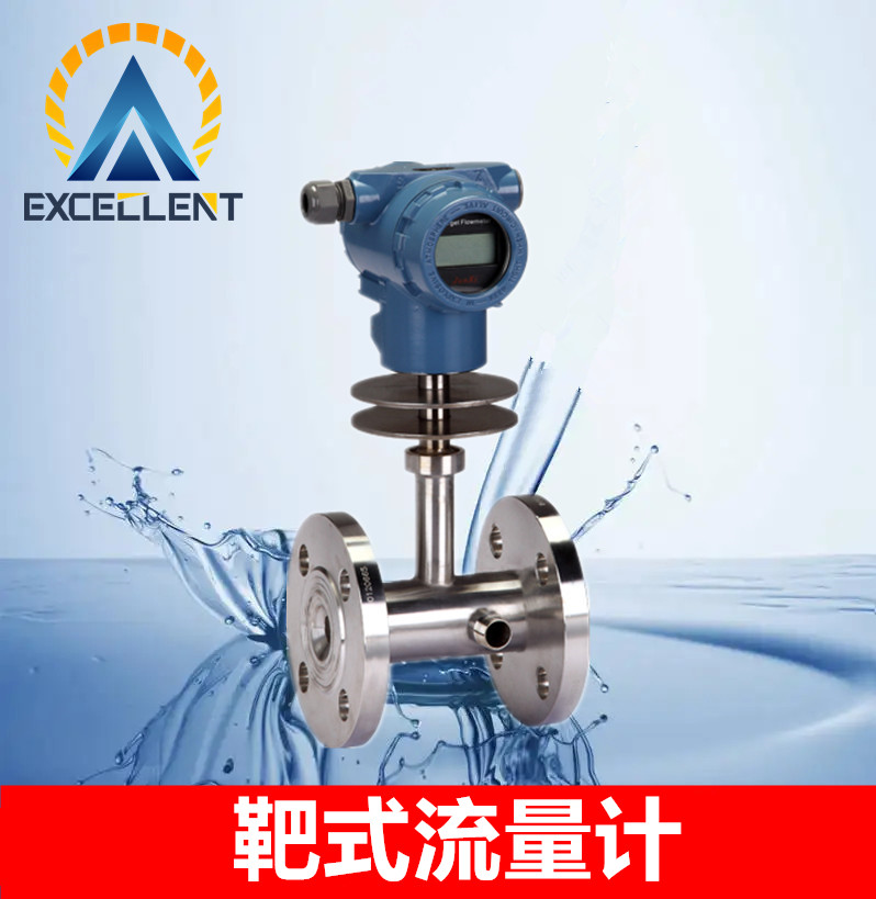 靶式流量计